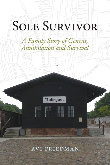 The Cover of the Book Sole Survivor by Avi Friedman